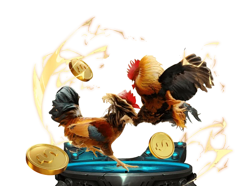 Hai chú gà chiến đang đối đầu trong đấu trường đá gà trực tuyến uw88